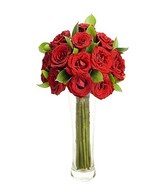 12 Red Roses in a Vase